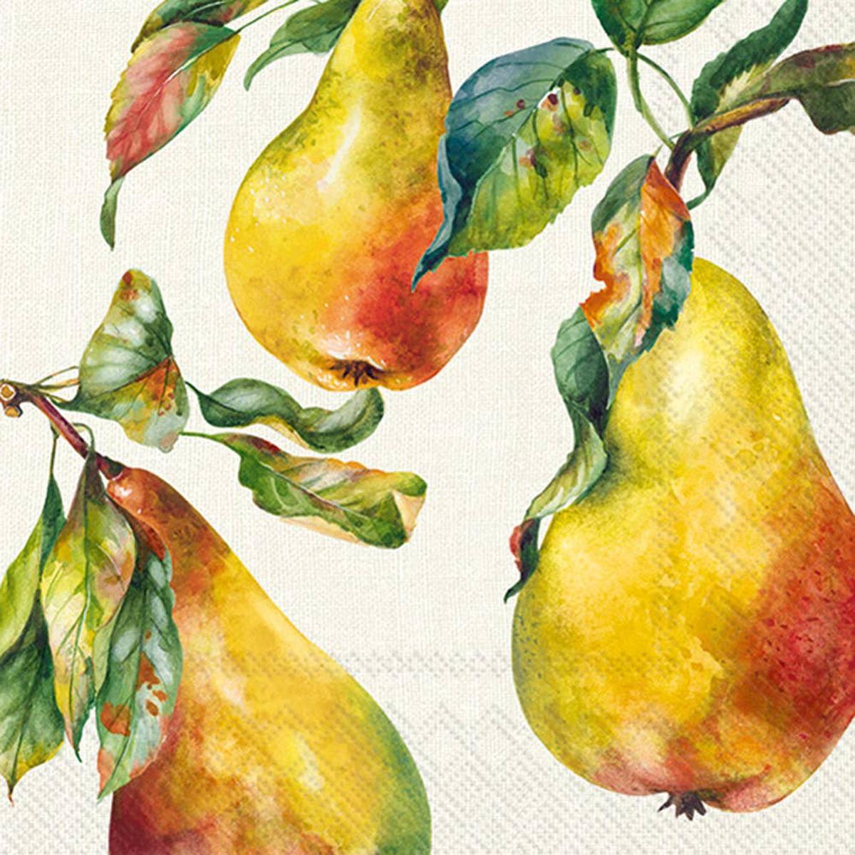 Paper Cocktail Napkin 20 Ct Home Grown Pears Fall Autumn