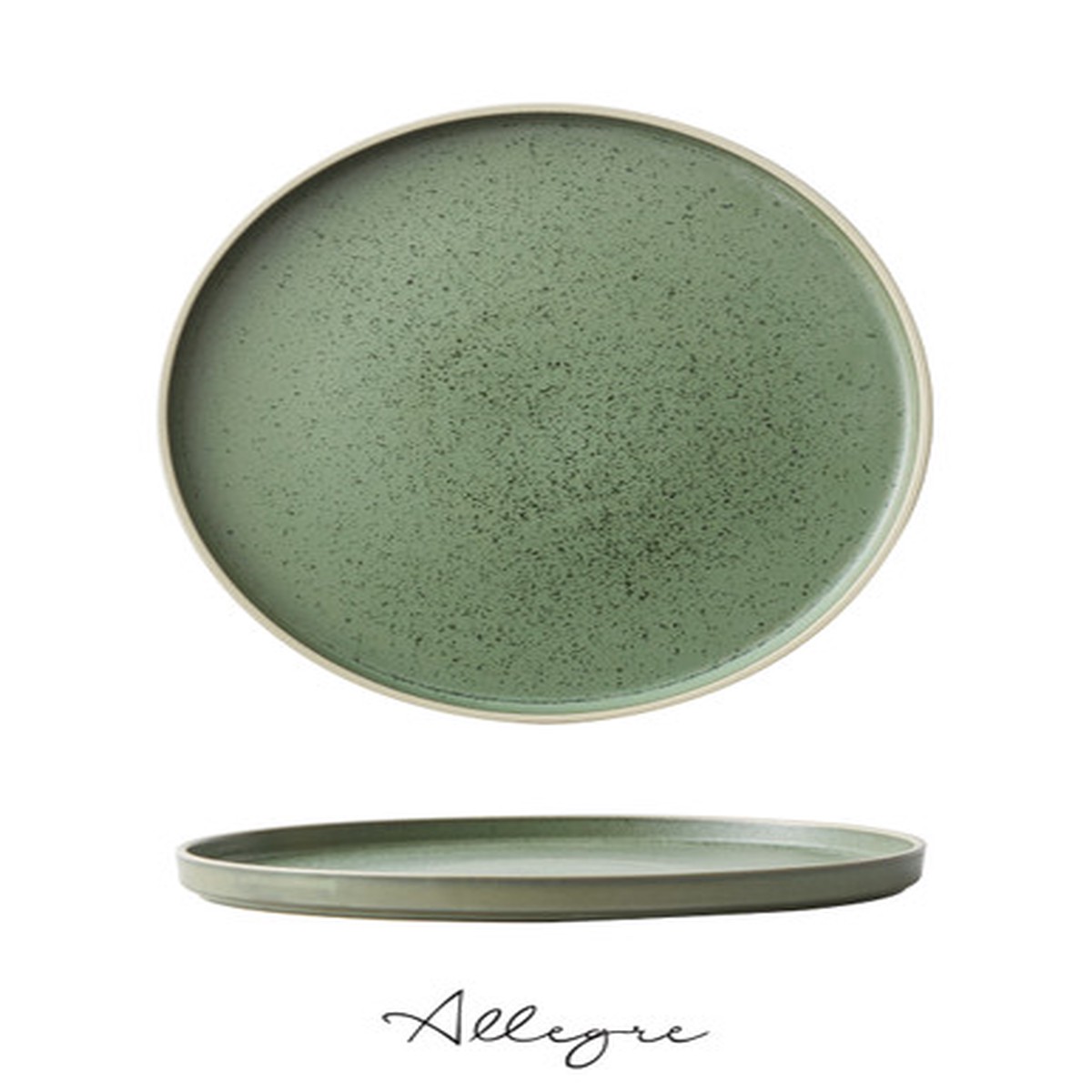 10.75 in. Dinner Plate/ Serving Plate for 2 to 3 Persons - MOD Smoky Basil