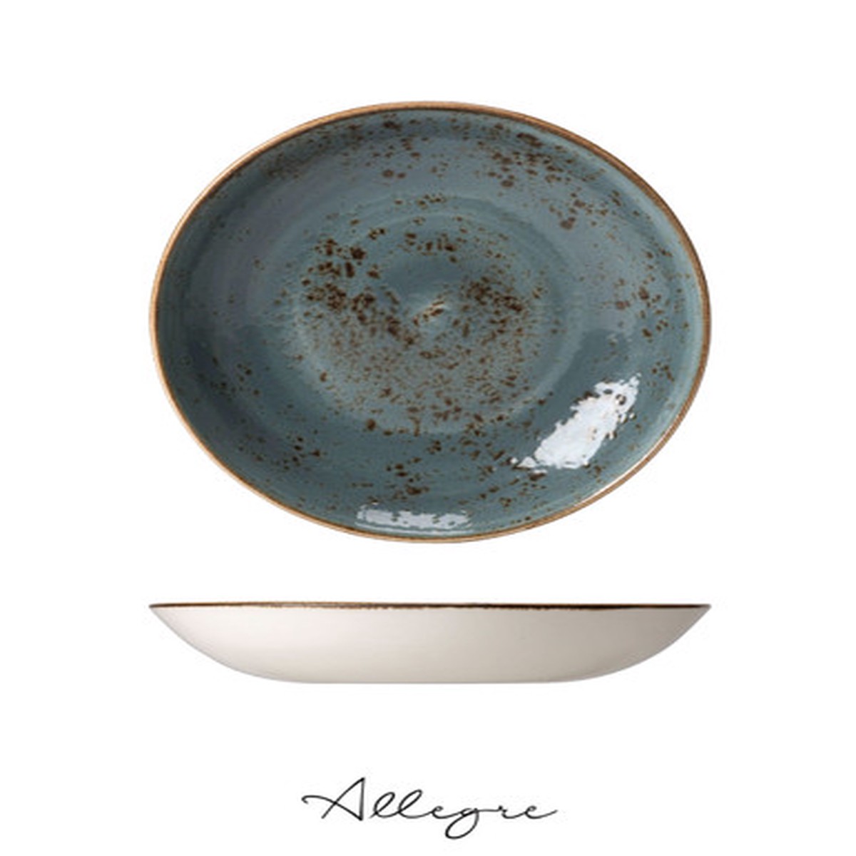 10 in. Shallow Serving Dish for 4 to 5 Persons 1.2 L - Speckled Blue