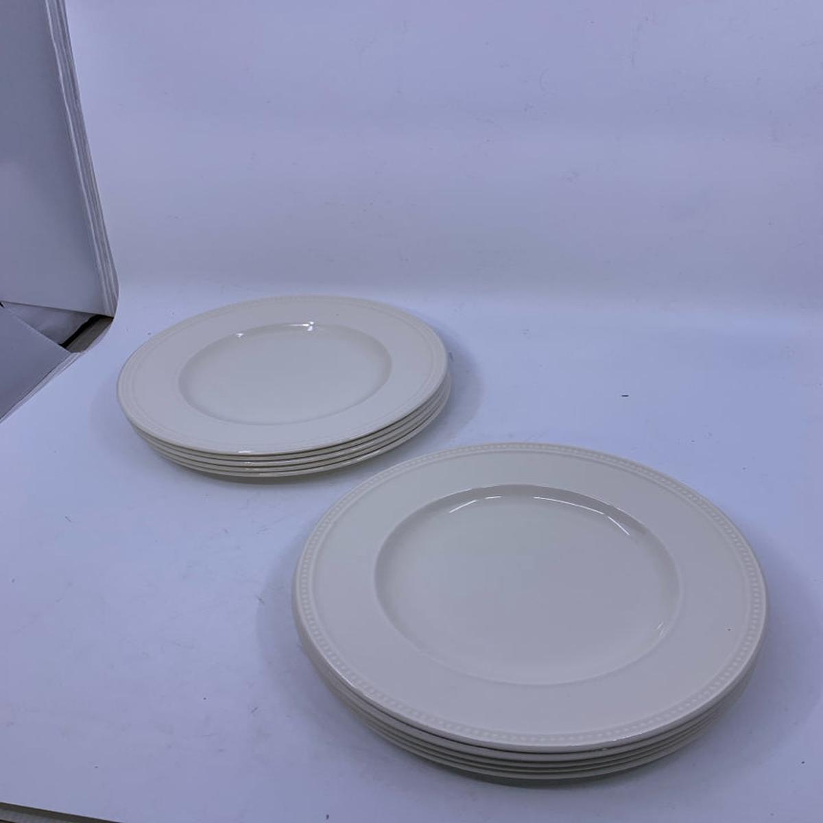 10 RIBBED RAYS & DOTS SALAD PLATES.